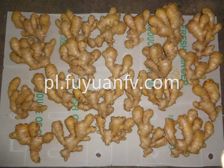 Air Dried Ginger35